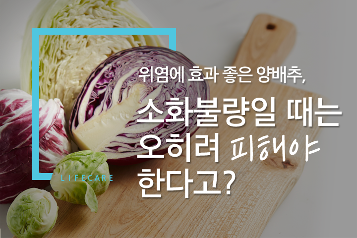 l i f e c a r e - 위염에 효과 좋은 양배추, 소화불량일 때는 오히려 피해야 한다고?